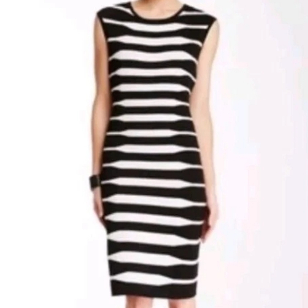 NWT Calvin Klein Black & White Zebra Print Striped Midi Dress Medium